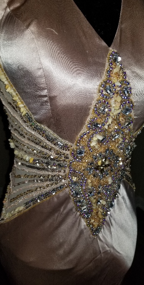 Champagne Beaded Vintage Cassandra Stone Dress - Picture 4 of 8